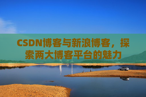 CSDN博客与新浪博客，探索两大博客平台的魅力